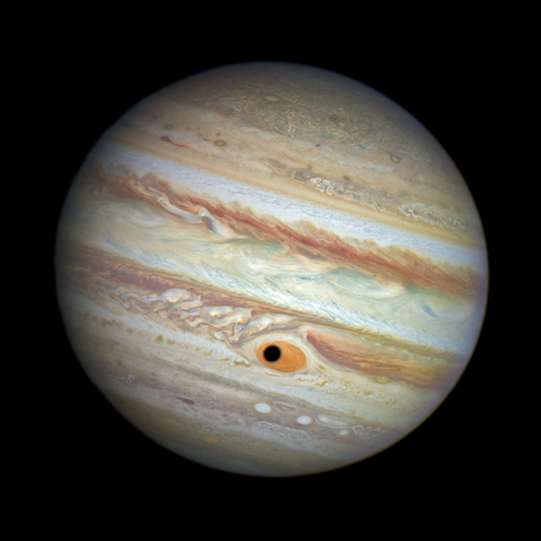 A picture of jupiter that clearly shows the great red spot
