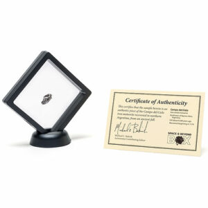 a meteorite in a class frame with a certificate of authenticity